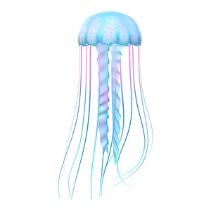 3D Jellyfish model