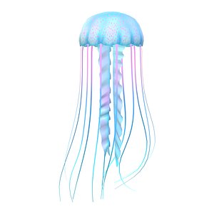 Jellyfish