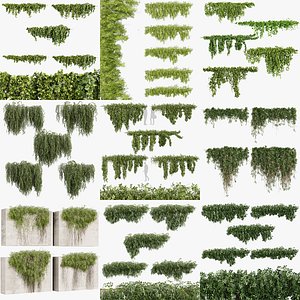 Ivy Creeping Plants Collection - 43 High-Quality 3D Models