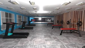 Fitness hall - sports equipment