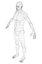 3d model basic male
