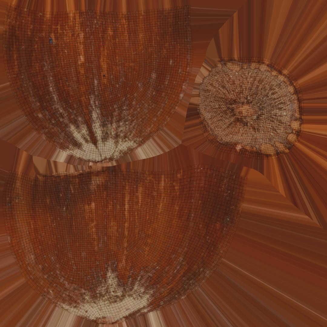 Hazelnut 3D model https://p.turbosquid.com/ts-thumb/3m/XsD8v9/46/hazelnut_uv/jpg/1639726140/1920x1080/fit_q87/62d6de3da9644d5f8da443c94fca3e50f203a3f1/hazelnut_uv.jpg
