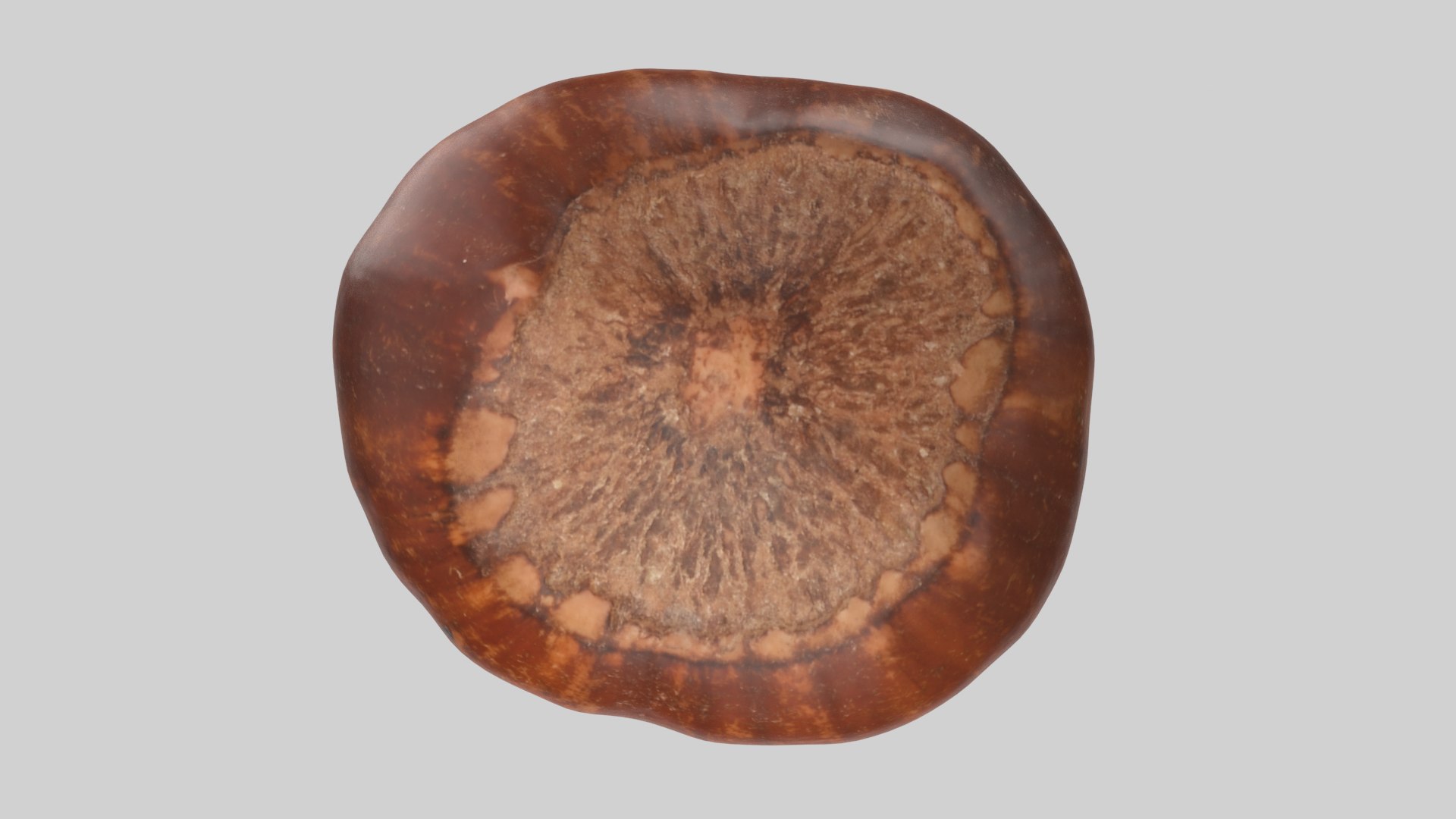 Hazelnut 3D model https://p.turbosquid.com/ts-thumb/3m/XsD8v9/Lq/hazelnut_r2a/png/1639682967/1920x1080/fit_q87/ab0e0caceb6b702576ff2ba128a1c21affe1c629/hazelnut_r2a.jpg