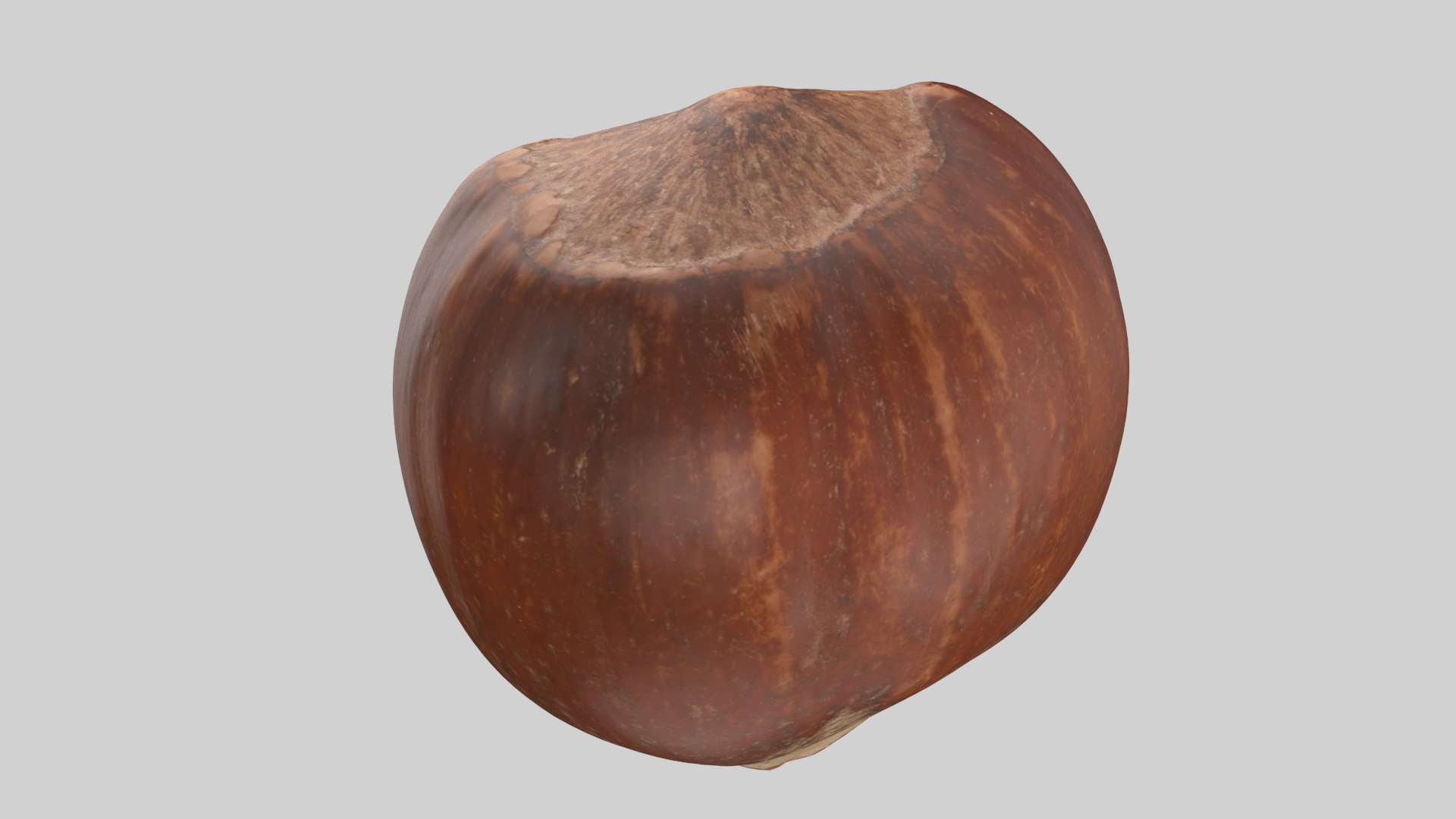 Hazelnut 3D model https://p.turbosquid.com/ts-thumb/3m/XsD8v9/YJ/hazelnut_r6/png/1639682966/1920x1080/fit_q87/a7ac7c163b9771097b77b05fcb4d6ed59c876c70/hazelnut_r6.jpg