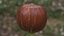 Hazelnut