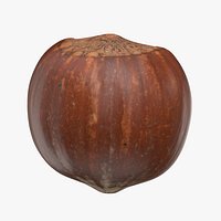 Hazelnut