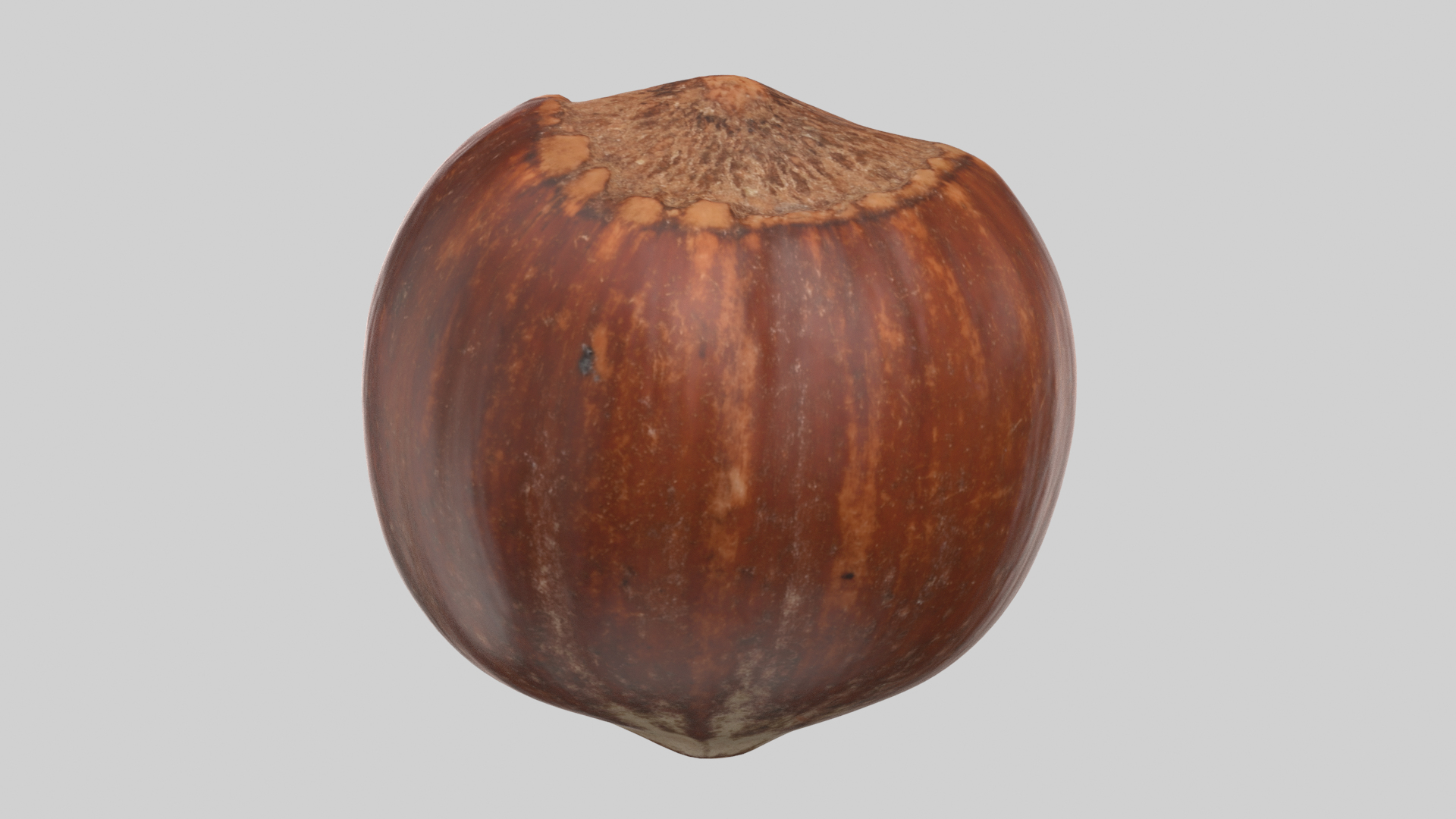 Hazelnut 3D model https://p.turbosquid.com/ts-thumb/3m/XsD8v9/vm/hazelnuttt/png/1639682990/1920x1080/turn_fit_q99/b44d04104b3e477dcc6b626b1599b216910f85b7/hazelnuttt-1.jpg