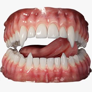Realistic Rigged Vampire Teeth Mouth model