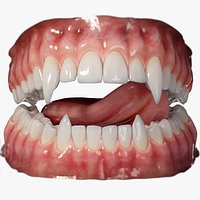 Realistic Rigged Vampire Teeth Mouth