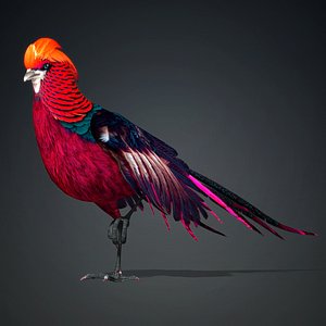 Pheasant-A3 3D model