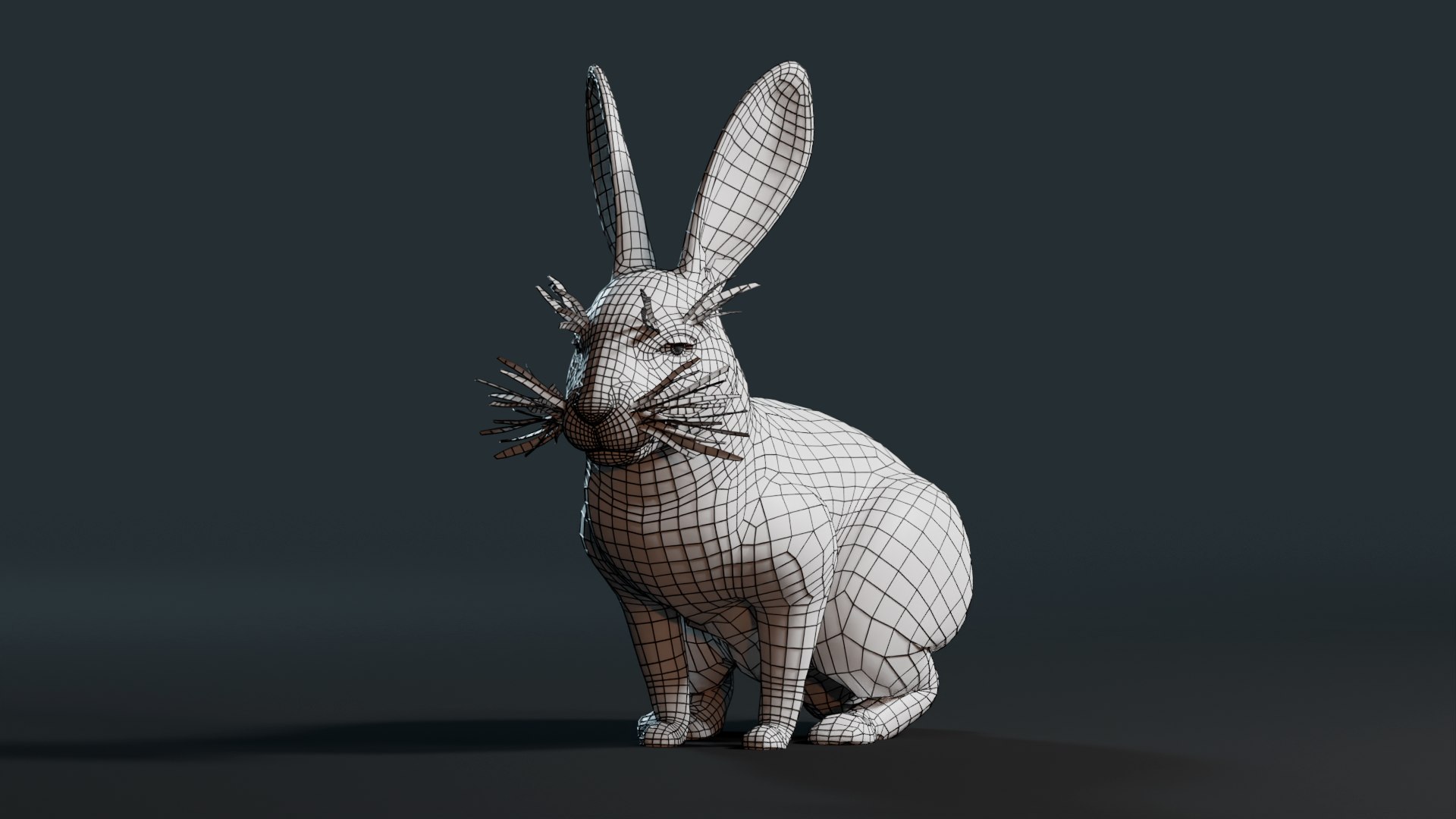 3D Realistic Rabbit model https://p.turbosquid.com/ts-thumb/3m/pORDPi/LL/0002/png/1691182322/1920x1080/fit_q87/35003653ff3b65553a6a5b3e94faca02a387cd9b/0002.jpg