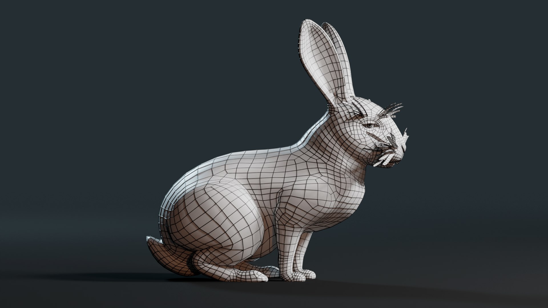 3D Realistic Rabbit model https://p.turbosquid.com/ts-thumb/3m/pORDPi/MZ/0007/png/1691182327/1920x1080/fit_q87/9f266151d17311c88686510b4d87301edb71f6db/0007.jpg