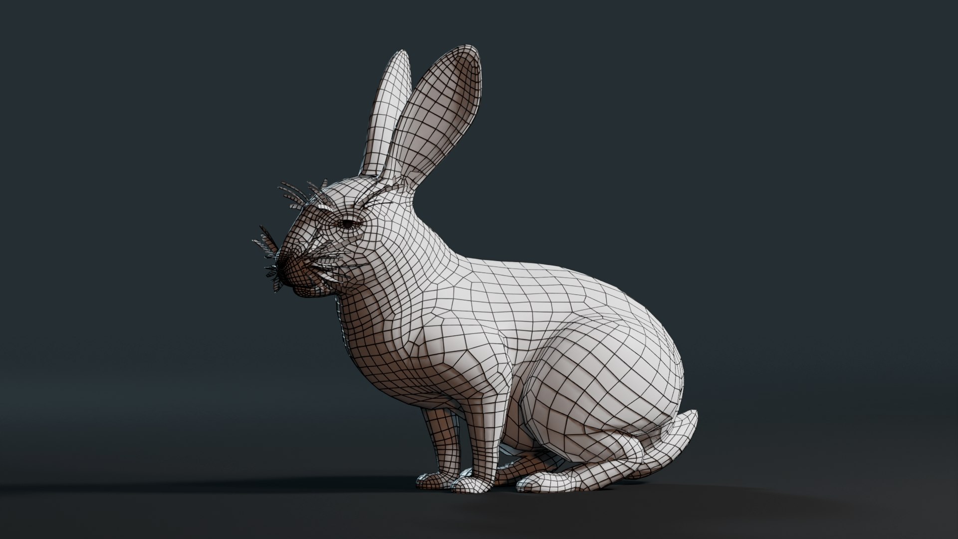 3D Realistic Rabbit Model - TurboSquid 2106382