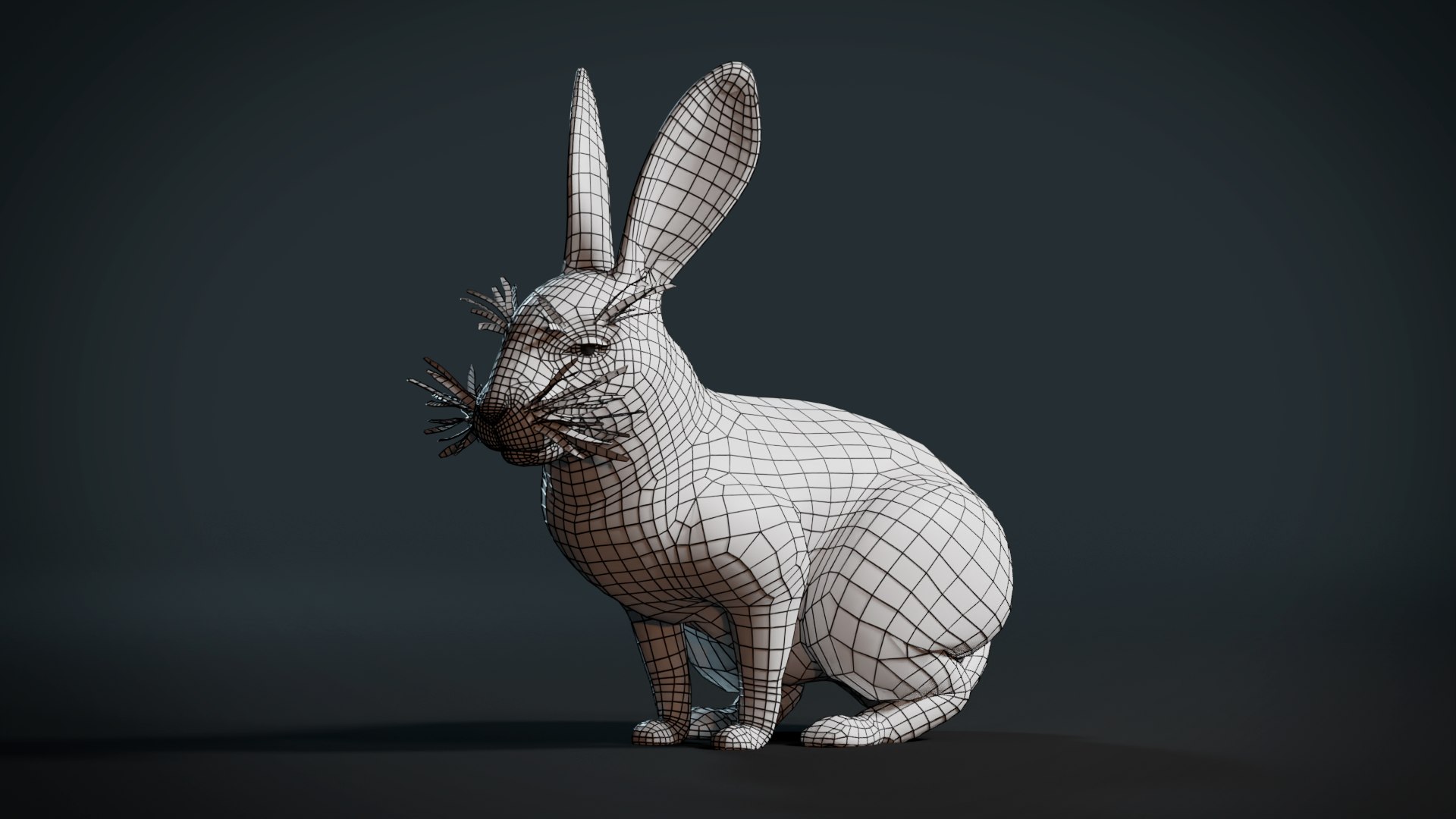 3D Realistic Rabbit model https://p.turbosquid.com/ts-thumb/3m/pORDPi/aK/render9/png/1691181881/1920x1080/fit_q87/080962f0efb726540c9827f3abc925590f1adc5e/render9.jpg