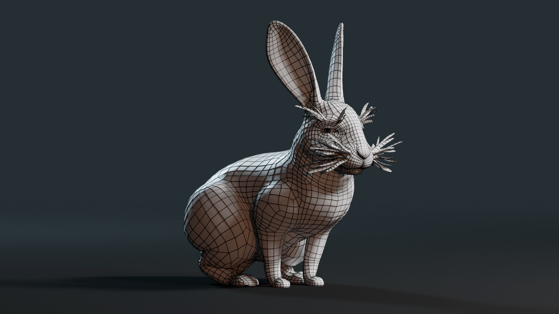 3D Realistic Rabbit model https://p.turbosquid.com/ts-thumb/3m/pORDPi/l3/0005/png/1691182326/1920x1080/fit_q87/19b07c98278694cbdf8b4c7b2d755fda7d5cf591/0005.jpg
