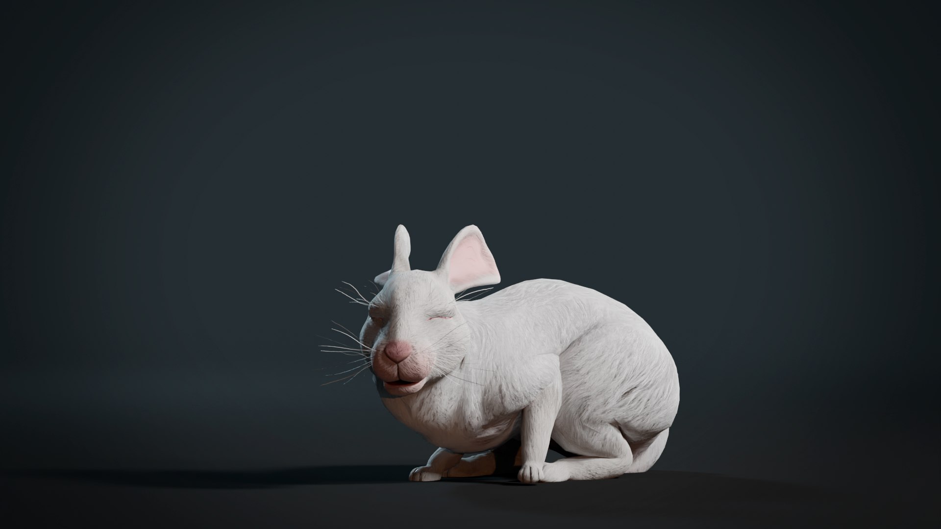 3D Realistic Rabbit model https://p.turbosquid.com/ts-thumb/3m/pORDPi/nc/render7/png/1691182203/1920x1080/fit_q87/502806cb5b041395dc7a59143a75e0901e151ef8/render7.jpg