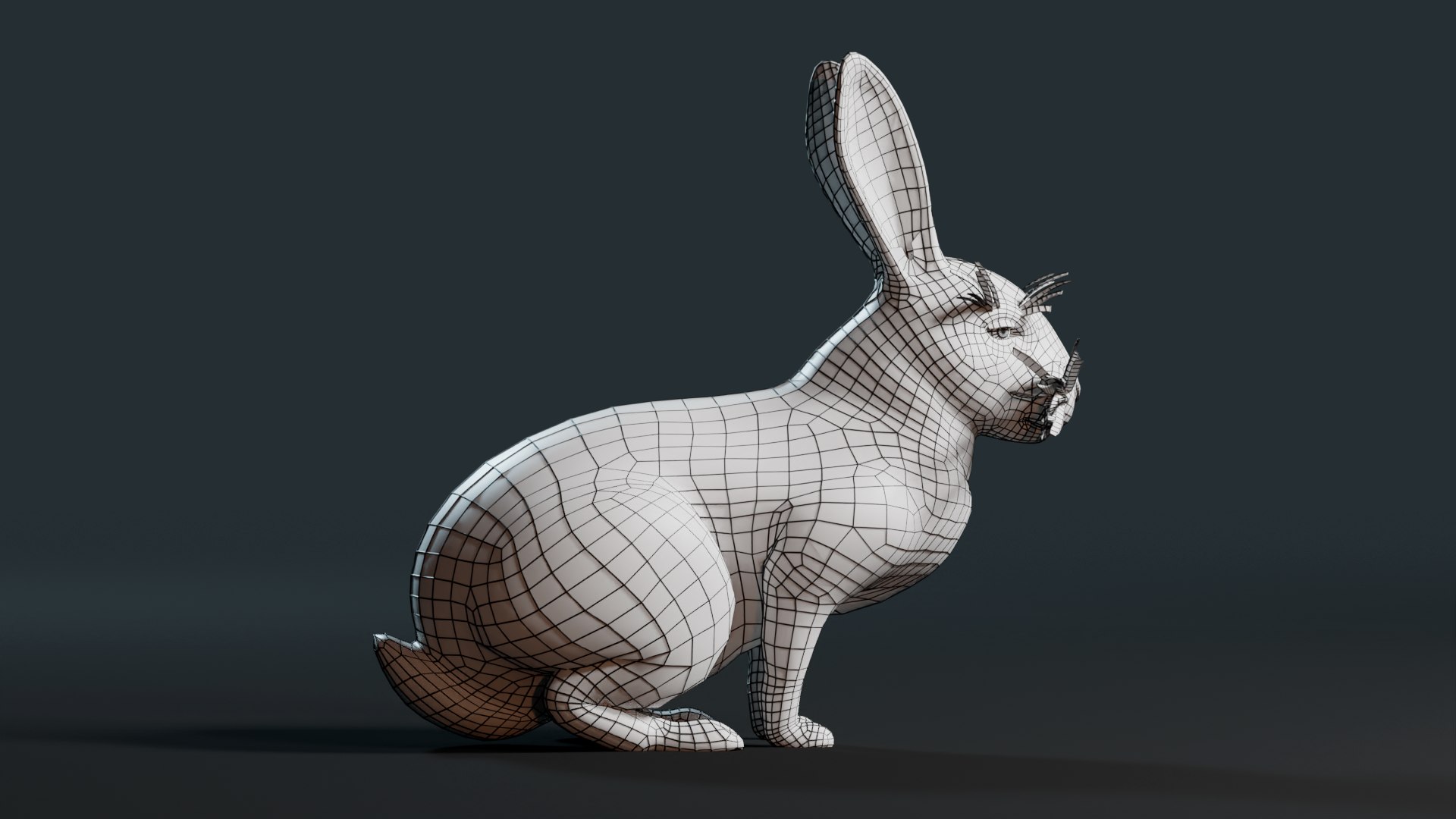 3D Realistic Rabbit model https://p.turbosquid.com/ts-thumb/3m/pORDPi/t1/0008/png/1691182328/1920x1080/fit_q87/e999c0c0567356ab688a51112ecf10e70eaa4a28/0008.jpg