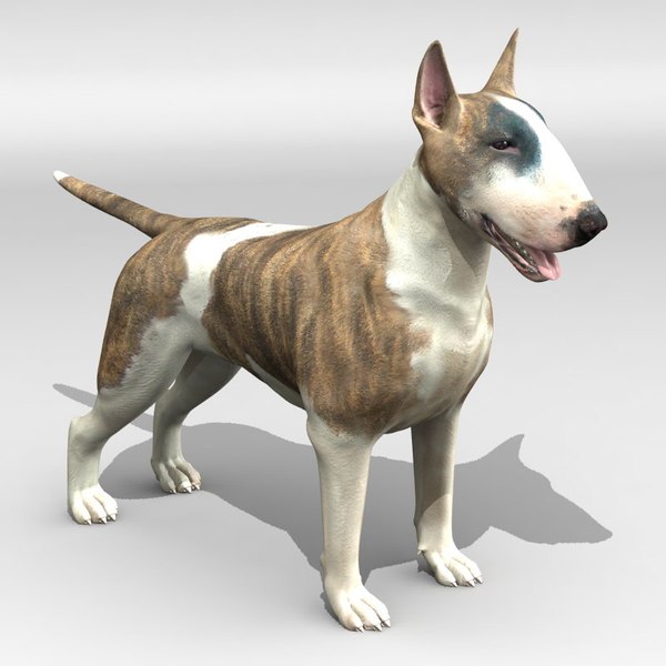 Fila Brasileiro Modelo 3D - TurboSquid 364625