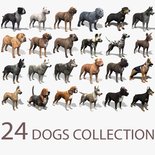 wolf modeled 3d model