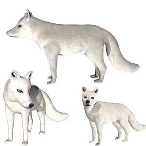 3D Rigged low poly Arctic Fox