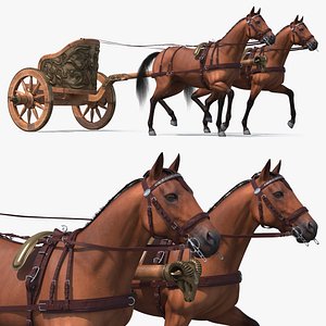 Roman Chariot with Horses Fur