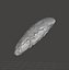 500 000 years old Acheulean hand-axe