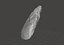 500 000 years old Acheulean hand-axe