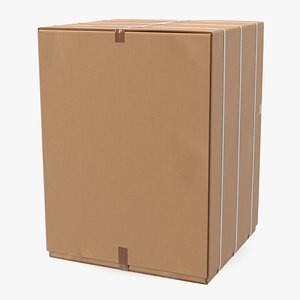Large Shipping Cardboard Box model