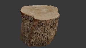 3D Tree Stump 3D Scan model