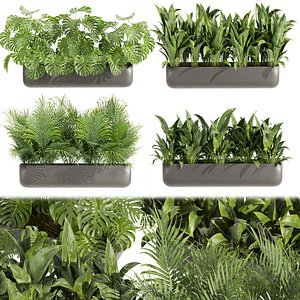 3D Collection plant vol 449 - indoor - peace lily - palm - banana - 3dsmax - cinema4d