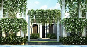 Star jasmine 11