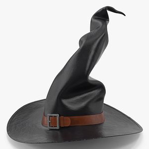 3D Witch Hat 2 model