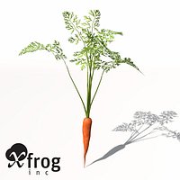 XfrogPlants Carrot