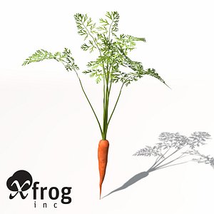 carrot plant 3d model
