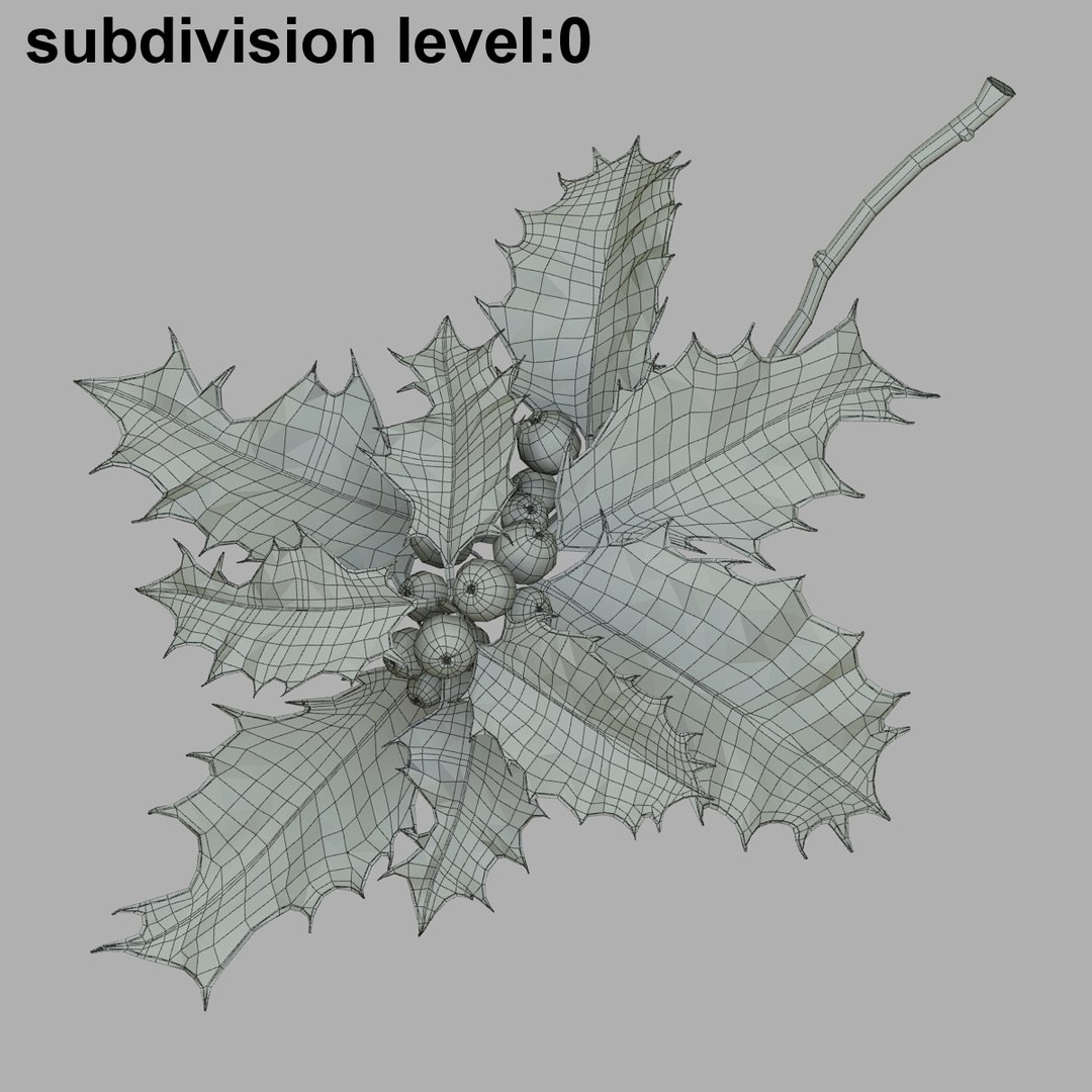 mistletoe holly sprig https://p.turbosquid.com/ts-thumb/3n/Rw5ZHe/l3IvL2jT/agrifogliowir01/jpg/1375439659/1920x1080/fit_q87/433bf47c2d2a6aabf7b33f2c37d05cd8bcb874a8/agrifogliowir01.jpg