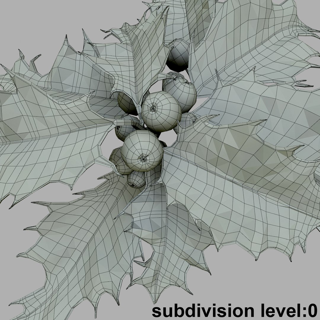 mistletoe holly sprig https://p.turbosquid.com/ts-thumb/3n/Rw5ZHe/p5X4MwWC/agrifogliowir03/jpg/1376588625/1920x1080/fit_q87/98ffb0379aabcefe37b266df0a14ab5acef26dbf/agrifogliowir03.jpg