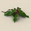Mistletoe Sprig Holly
