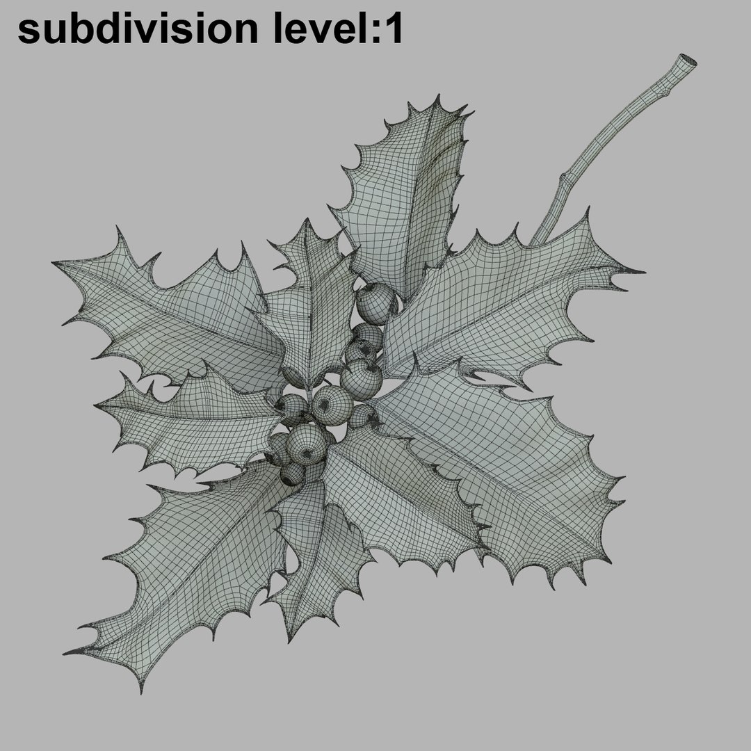mistletoe holly sprig https://p.turbosquid.com/ts-thumb/3n/Rw5ZHe/u8qdMyTj/agrifogliowir02/jpg/1375439659/1920x1080/fit_q87/3ad0cddf2b4826bf219a79022a339565a50c15ea/agrifogliowir02.jpg