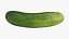 Gurke 02