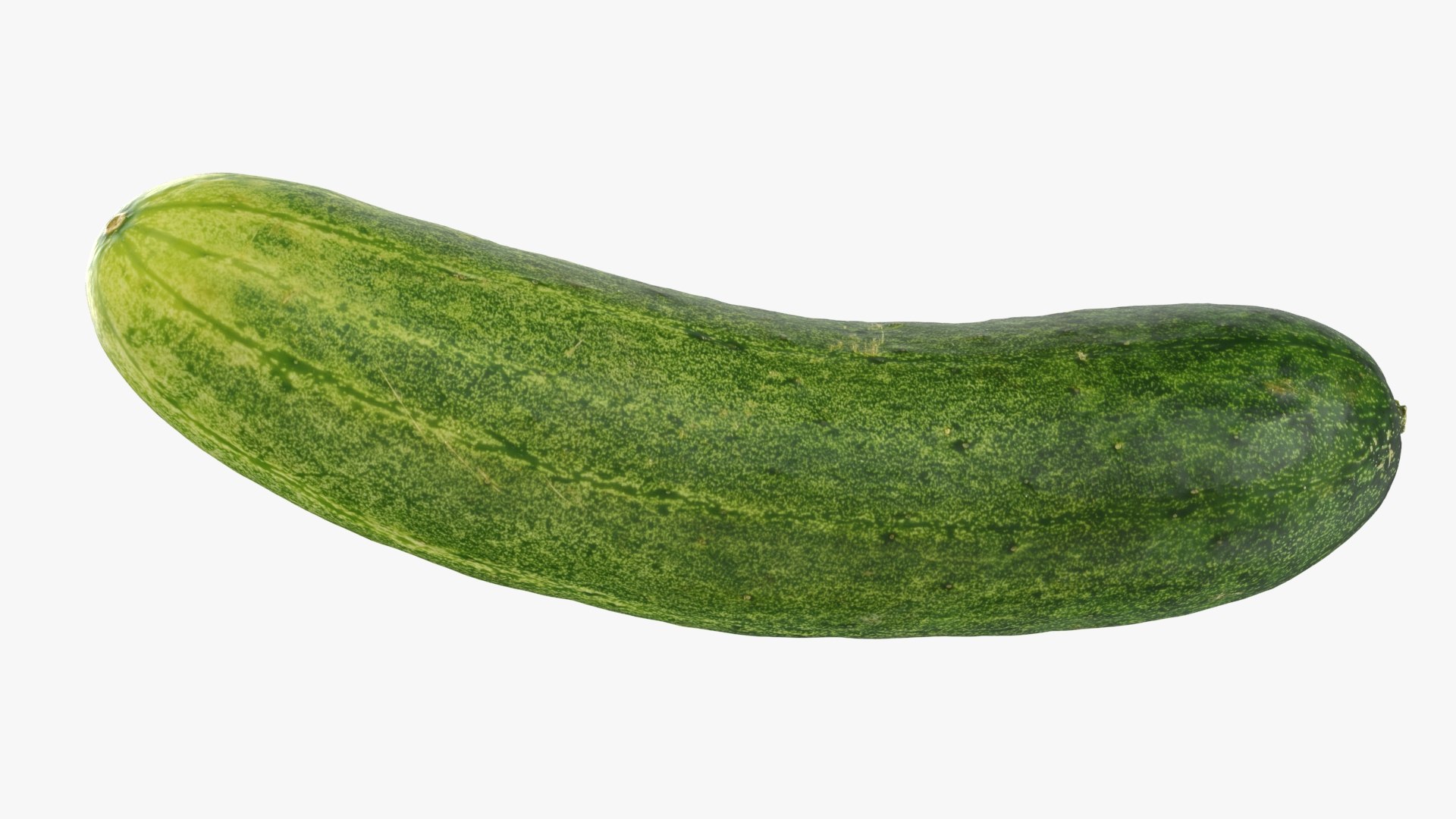 3D Cucumber 02 https://p.turbosquid.com/ts-thumb/3n/ecx0pr/U3/cucumber02_b0022/jpg/1740591645/1920x1080/fit_q87/c8c2ca898955842cd64ed14567f934ac05ba918e/cucumber02_b0022.jpg