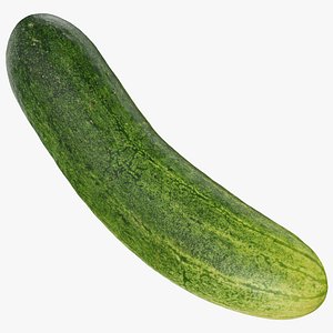 3D Cucumber 02