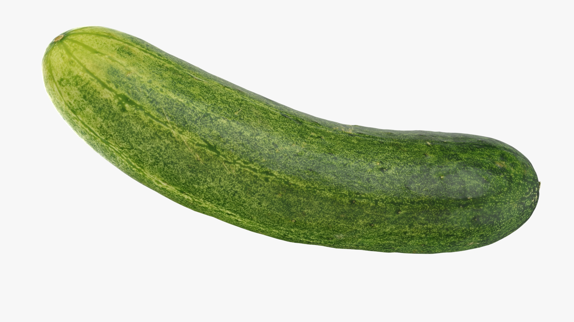 3D Cucumber 02 https://p.turbosquid.com/ts-thumb/3n/ecx0pr/Xo/cucumber02/jpg/1740591592/1920x1080/turn_fit_q99/8e2f1ebb85ec2f93426ffed6a8c1386ed9ede56d/cucumber02-1.jpg