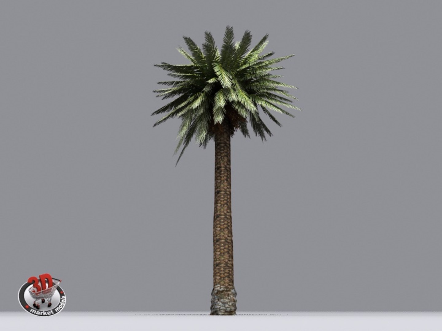 Palm Max