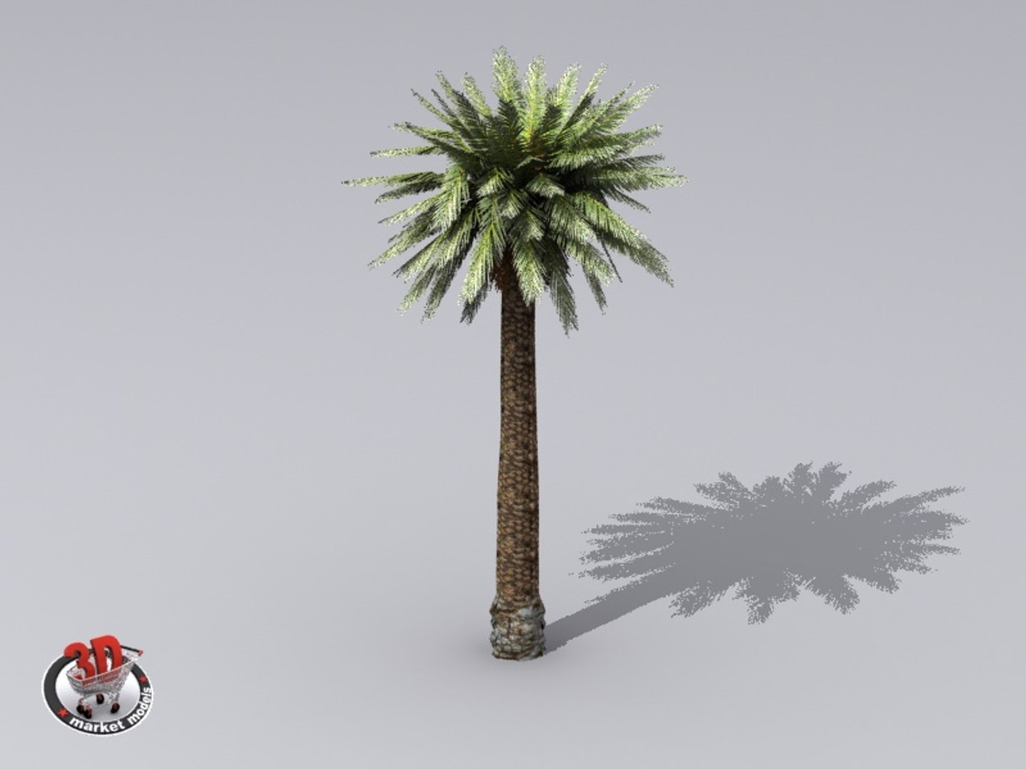 Palm Max