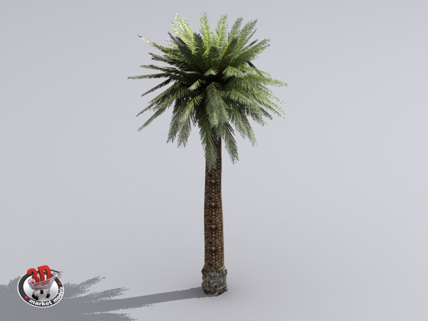 Palm Max