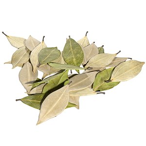 3D Dried bay leaves pile