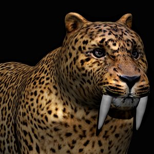 fully rigged saber tooth tiger model