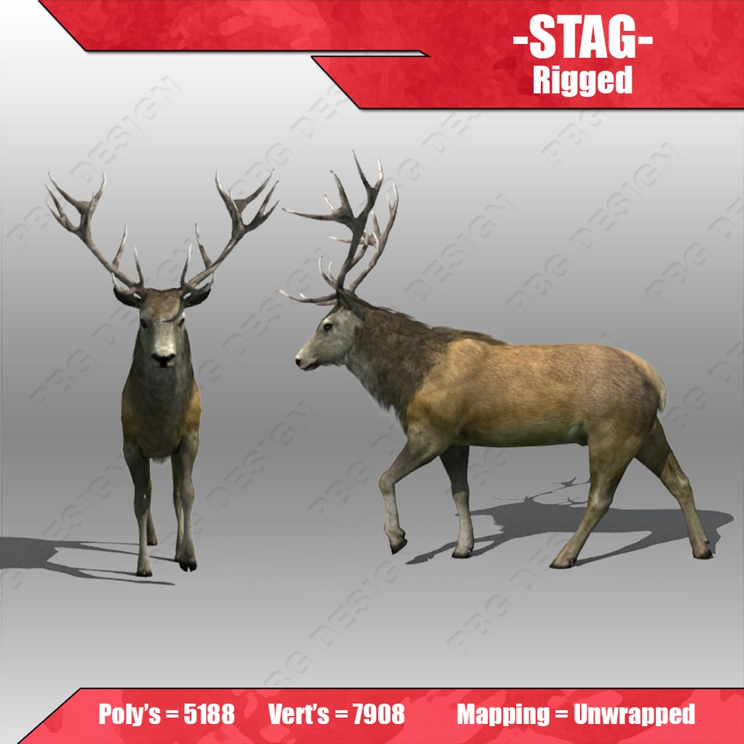 maya stag https://p.turbosquid.com/ts-thumb/3o/5X3kbL/BocpSvYe/2/jpg/1365034411/1920x1080/fit_q87/20c74e4f94344ac48ad08c48e3ecd30f057978d0/2.jpg