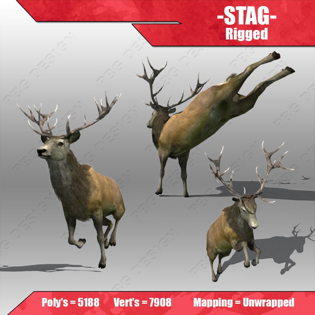 maya stag https://p.turbosquid.com/ts-thumb/3o/5X3kbL/l5sn8nE4/3/jpg/1365034411/1920x1080/fit_q87/3b48a09f011e039544083070cd2f4368918b9a55/3.jpg