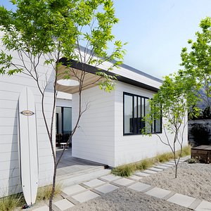 Acer palmatum 02 model